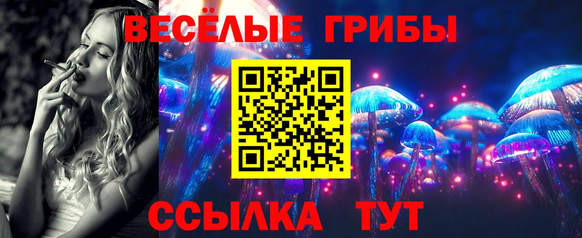 Псилоцибиновые грибы Psilocybine cubensis  Вход с VPN  Псилоцибиновые грибы GOLDEN TEACHER  Белореченск 